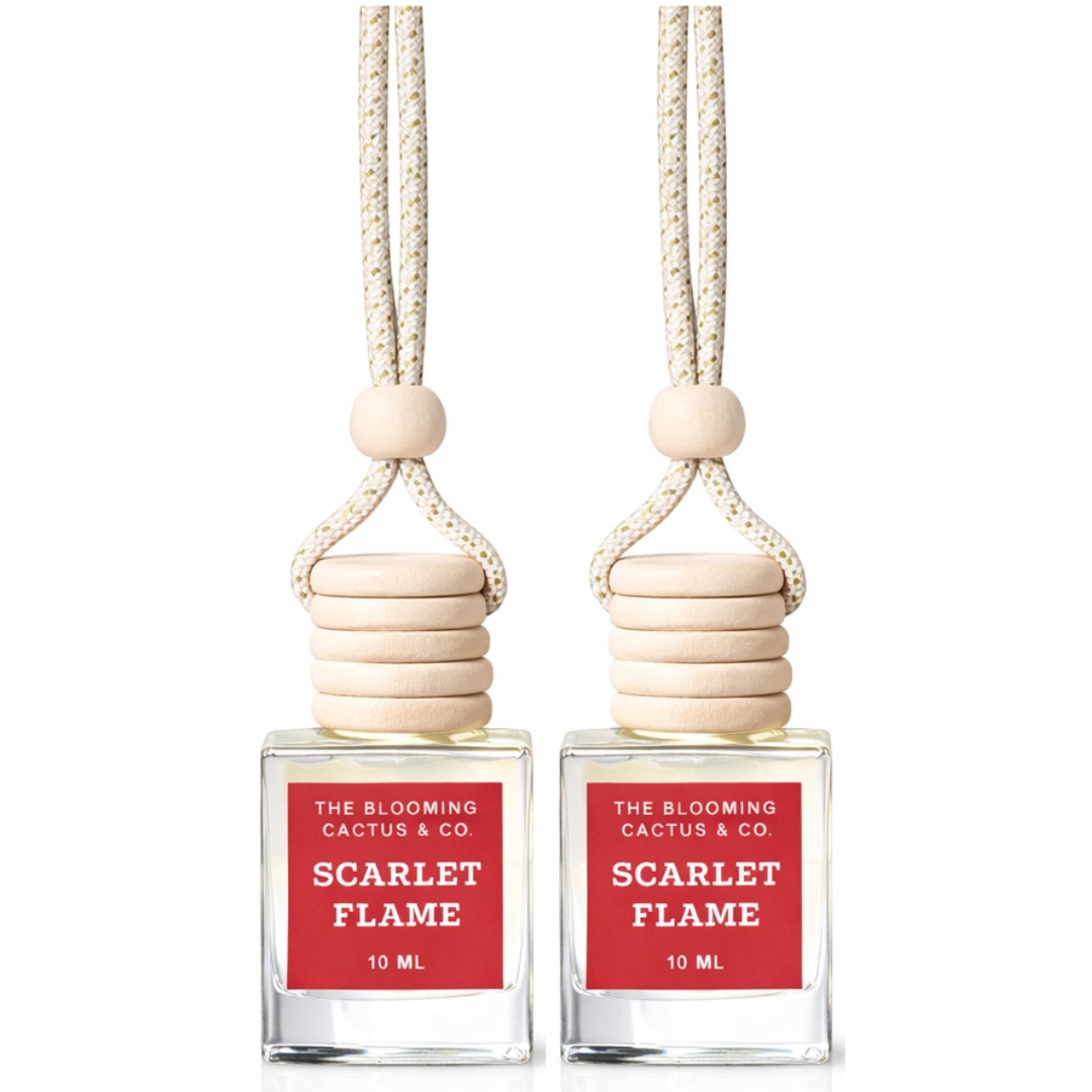 2 Pack Long Lasting Car Air Freshener, Hanging Fresh Aroma Diffuser, N – The Blooming Cactus & Co