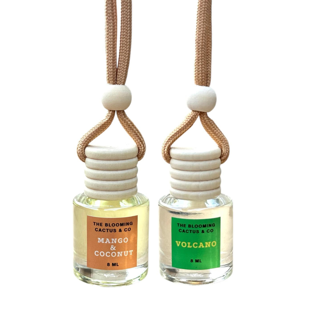 2 Pack Air fresheners | Long lasting car air fresheners, Hand-made in USA