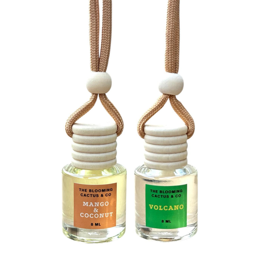 2 Pack Air fresheners | Long lasting car air fresheners, Hand-made in USA