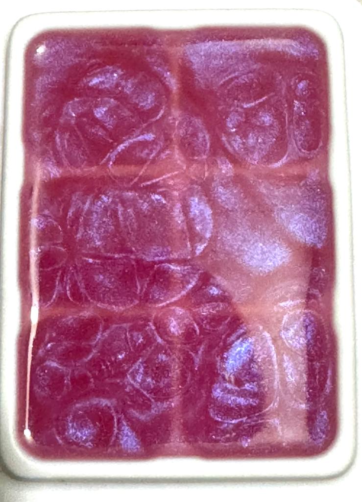 Highly Scented All Natural Soy Wax Melts-4 Different scents-6 Cube Clamshell -Fresh Lemon+Baja Cactus Blossom+Fruit Loops+Fleur D'Oranger.