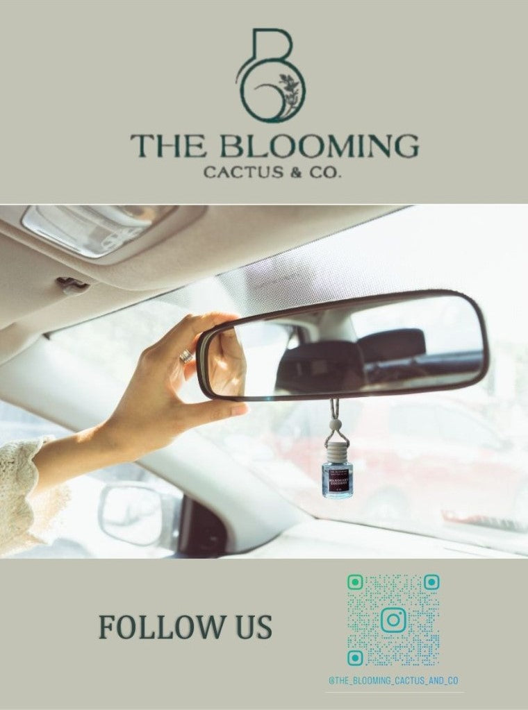 Car Diffuser Refill | Ocean Breeze.